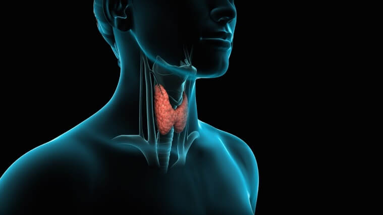 Antimicrosomales