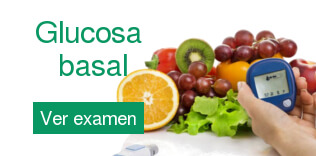 Glucosa basal