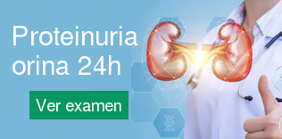 Proteinuria, orina 24 horas