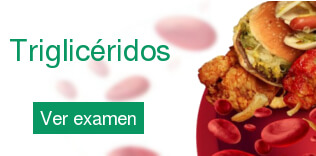 Triglicéridos