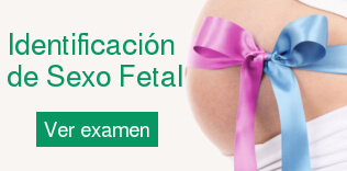 Identificación de Sexo Fetal