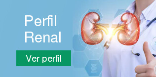 Perfil Renal